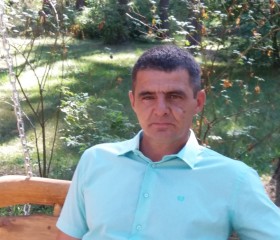 Александр, 51 год, Ковров
