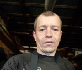 Сергей, 42 года, Красное