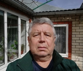 Николай, 65 лет, Краснодар