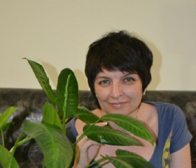 Алла, 55 лет, Краснодар