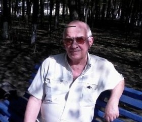 сергей, 72 года, Ульяновск