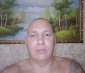 Евгений, 36 лет, Железногорск (Курская обл.)