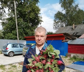 Борис, 59 лет, Шимск