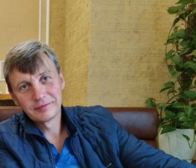 Андрей, 52 года, Бокситогорск