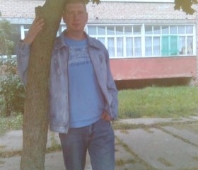 Денис, 35 лет, Александров