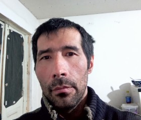 Рустам, 44 года, Toshkent
