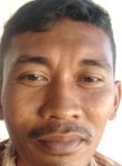 Putra tunggal, 37  , Jayapura