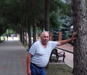 Алик Идрисович Ш, 68 лет, Бижбуляк