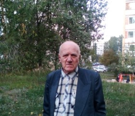 Николай, 74 года, Самара