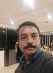 Shashi, 43 года, Nagpur
