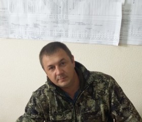 Александр, 42 года, Narva