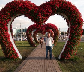 владимир, 64 года, Ульяновск