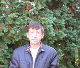 Евгений, 64 года, Курск