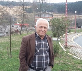 adil taşgın, 70 лет, რუსთავი