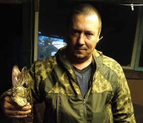 Сергей, 43 года, Матвеев Курган