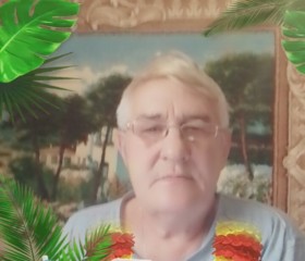 Igor, 61 год, Грязовец
