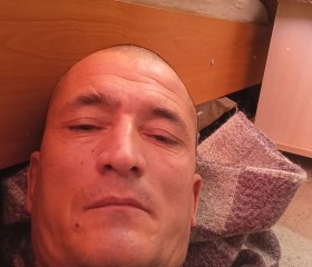 Дима, 44 года, Тверь