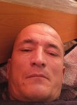 Дима, 44 года, Тверь