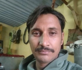 Rajan singh, 42 года, Allahabad