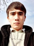 Камиль, 26 лет, Toshkent