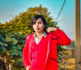 Arsad, 21 год, Asansol