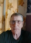 Vladimir, 67, Kurtamysh