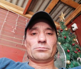 Herminio Saavedr, 42 года, Santiago de Chile