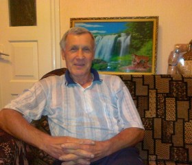 Владимир, 77 лет, Кременчук