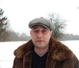 Роман, 51 год, Щёлково