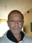 Андрей, 52 года, Ростов-на-Дону