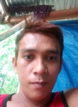 Mike, 29 лет, Legaspi