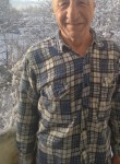 Леонид, 71 год, Алматы