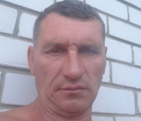 Лев, 52 года, Москва