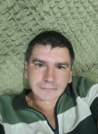 поныровский, 37 лет, Курск