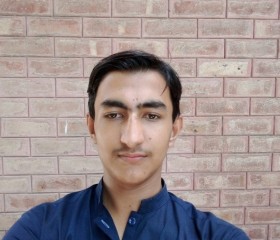 Fida Hussain, 19 лет, فیصل آباد