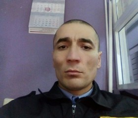 шамиль, 42 года, Воронеж