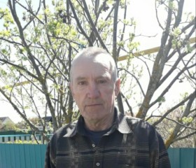 Сергей, 63 года, Мокшан