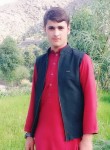 Asad, 24 года, جلال‌آباد