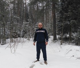роберт, 42 года, Краснодар