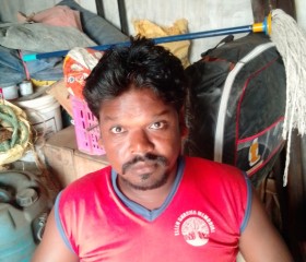 Ramesh, 30 лет, New Delhi