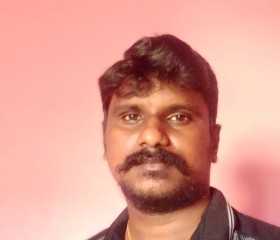Dani, 30 лет, Chennai