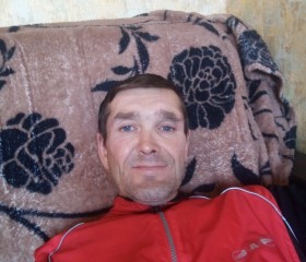 Евгений, 48 лет, Камышин