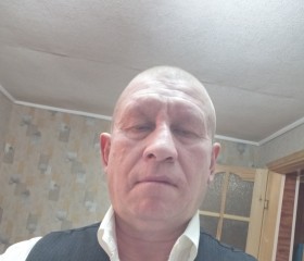 Владимир Хиря, 59 лет, Реутов