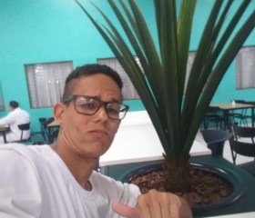 Rodrigo, 28 лет, Ribeirão Preto