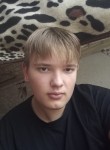 Никита, 21 год, Новопсков