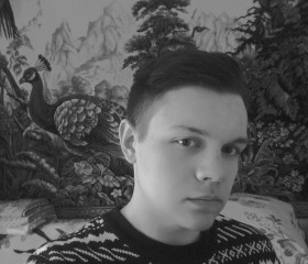 Алексей, 26 лет, Владимир