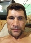 Sergey, 44, Tomsk