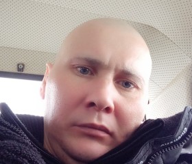 Антон, 39 лет, Пермь
