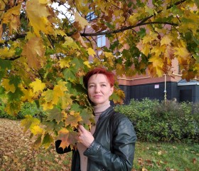 Наташа, 42 года, Вологда