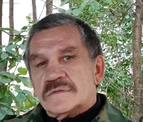 vladimir krasnov, 63 года, Сурск